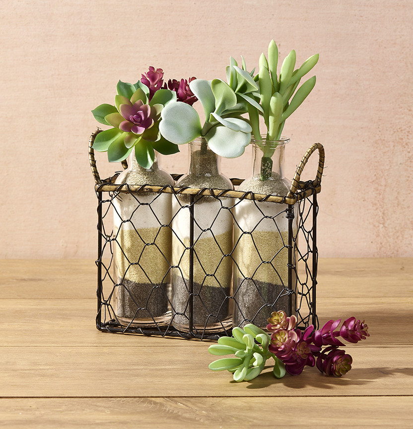 Mini Vases Terrarium Project
