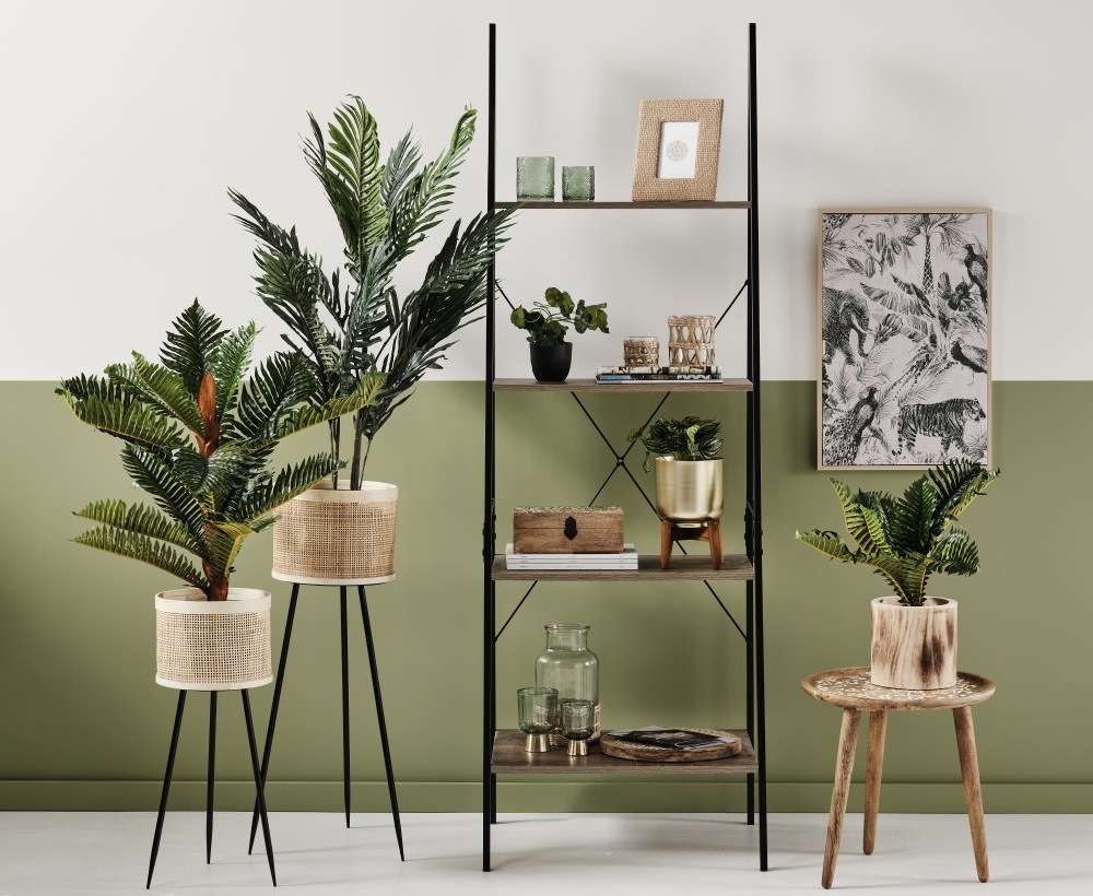 Shop The Ombre Home Urban Jungle Collection