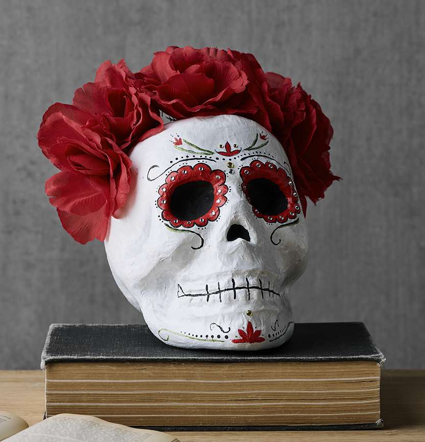 Paper Mache Skull Project
