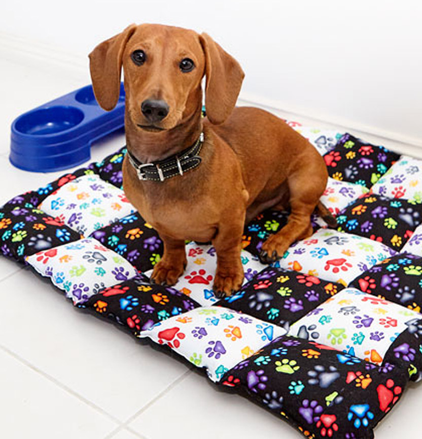 Paw Print Dog Bed Project