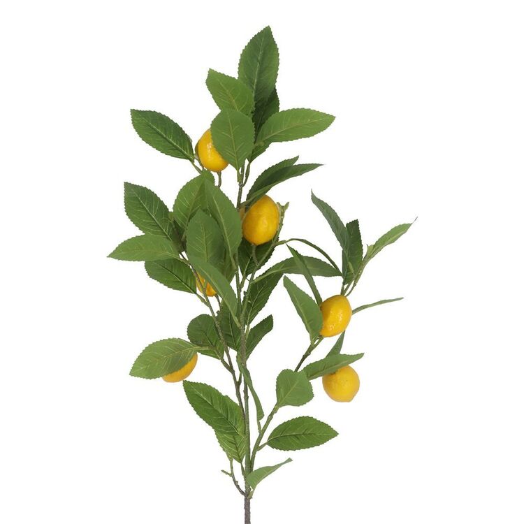 The Green Room Citrus Lemon Stem Green | Spotlight Australia