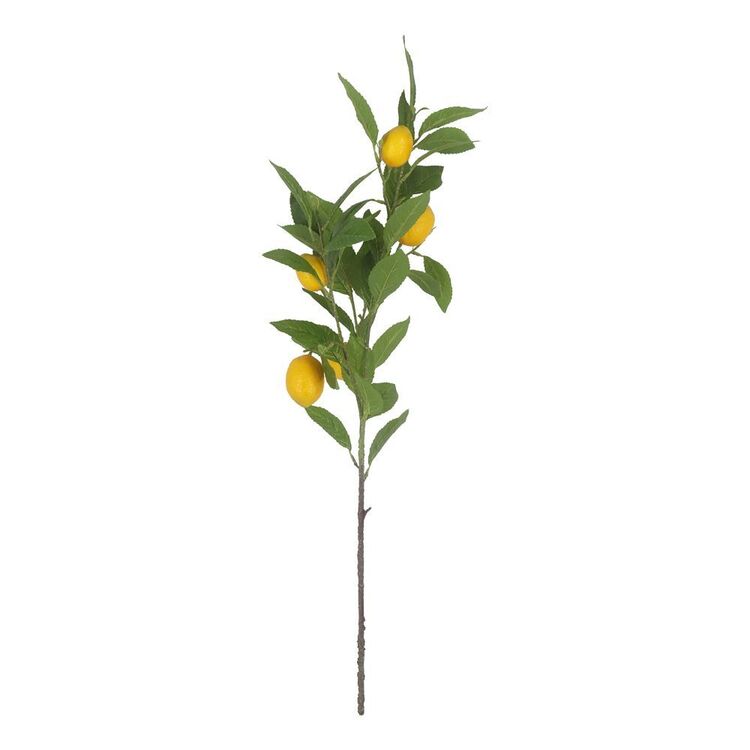 The Green Room Citrus Lemon Stem Green | Spotlight Australia