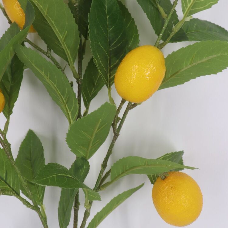 The Green Room Citrus Lemon Stem Green | Spotlight Australia