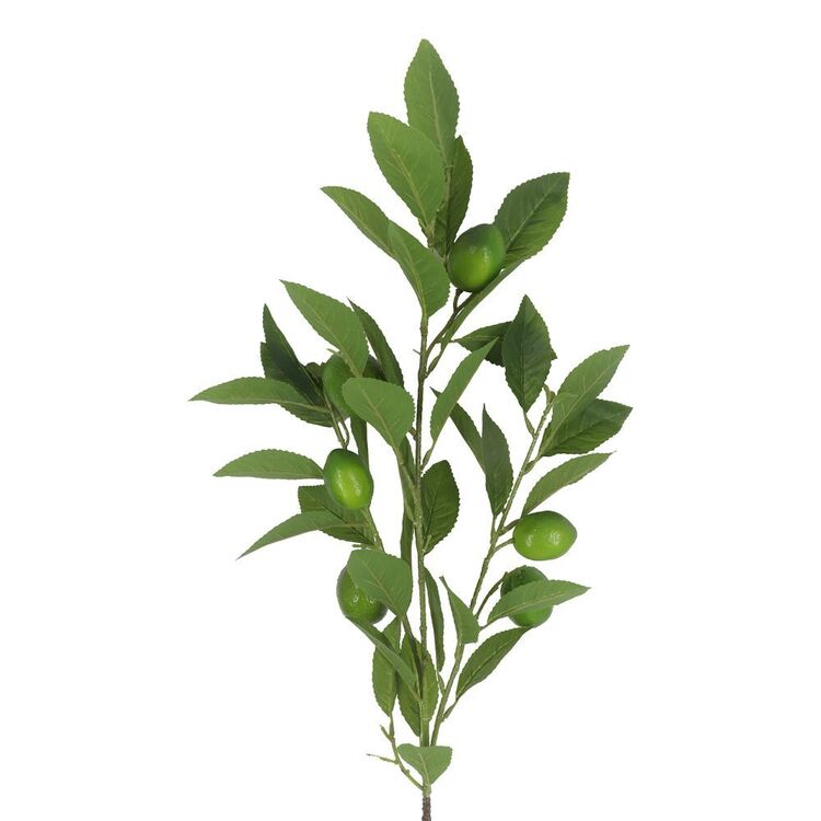 The Green Room Citrus Lime Stem Green