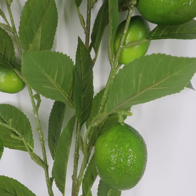 The Green Room Citrus Lime Stem Green