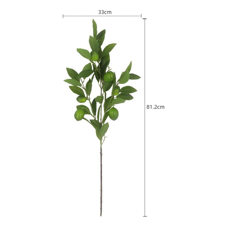 The Green Room Citrus Lime Stem Green