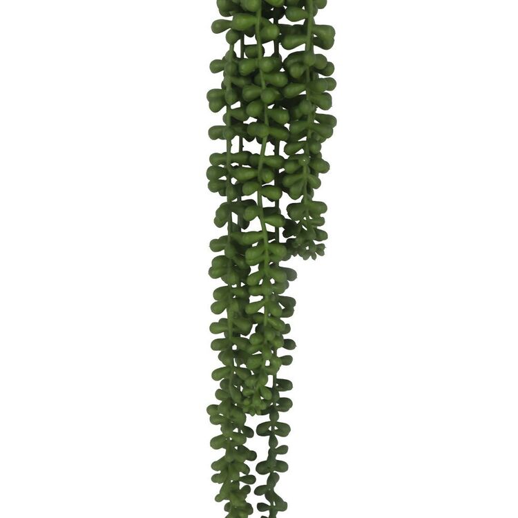 String Green Design The Green Room Of Beans Hanging Rope String Green | Spotlight New Zealand