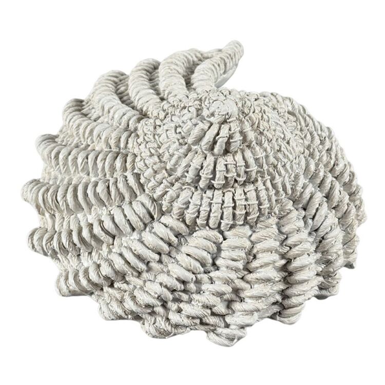 Ombre Home Modern Coastal Shell Wall Art White