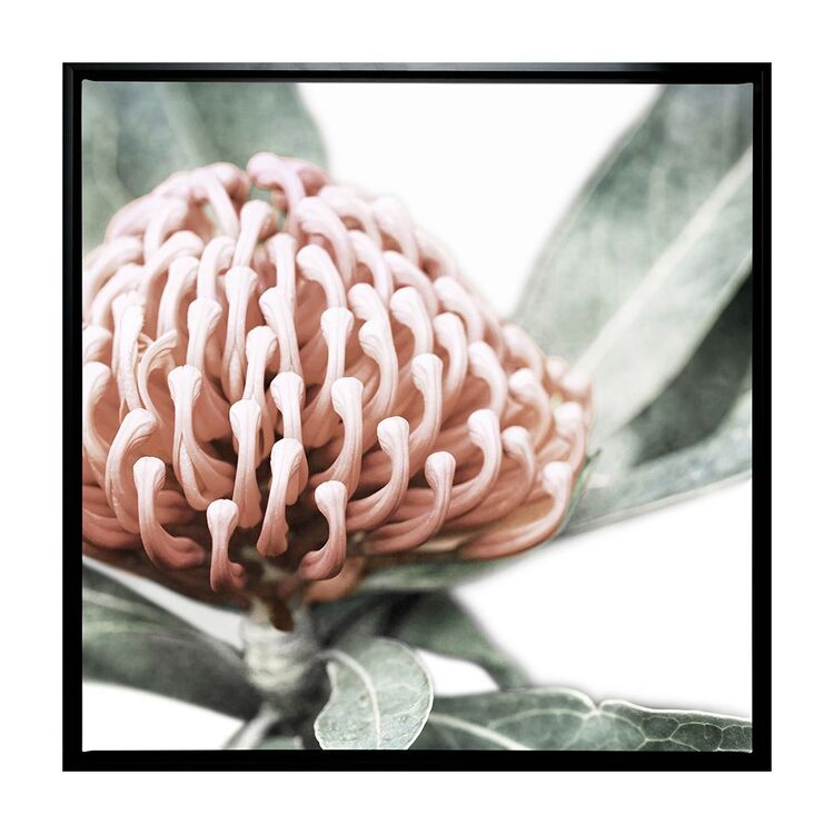 Arbour Studio Waratah I Canvas Frame Black Frame