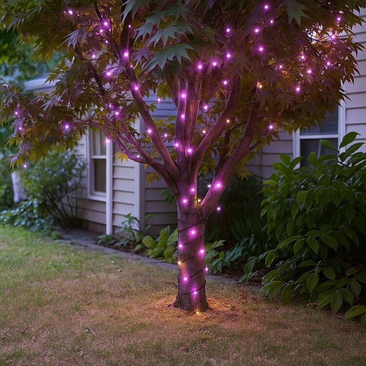 Xp Connectable String Lights Lexi Lighting 300 LED Connectable Coloured Cable String Lights Purple ...