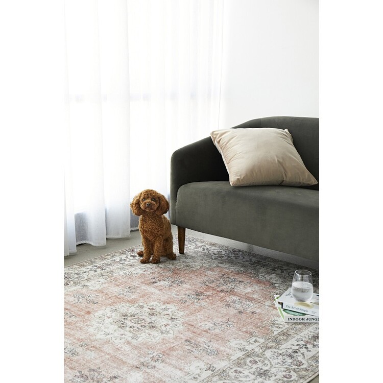 Rug Culture Kindred Coco Rug Peach Rose | Spotlight Australia