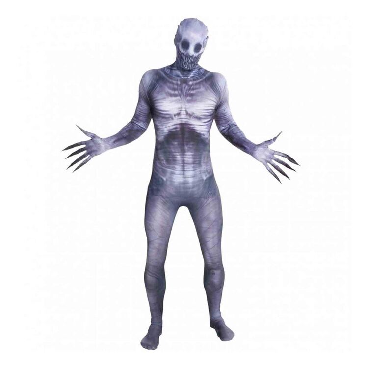 Morph Costumes The Rake Morphsuit Adult Costume Multicoloured