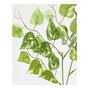 Pothos Leaf 72 cm Spray Green 72 cm
