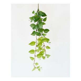 Pothos Hanging Vine Green 76 cm