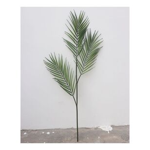 Areca Palm 84 cm Stem Green 84 cm