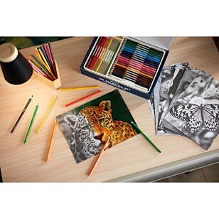 Crayola HD Colouring Kit Multicoloured