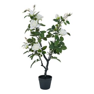 Potted Rose Tree White & Green 96 x 51 x 38 cm