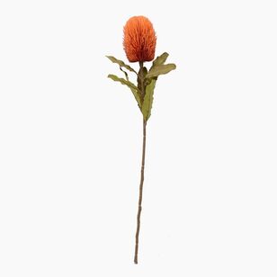 Banksia 64 cm Stem Orange 64 cm
