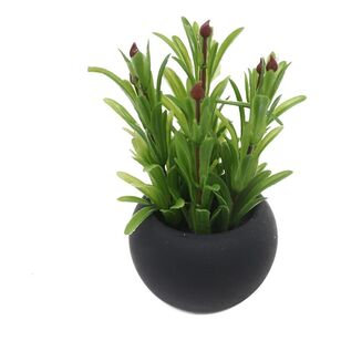 Succulent In Black Pot 5 Green 5 x 12 cm