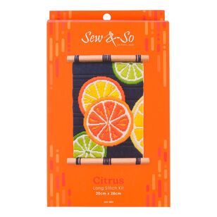 Sew & So Citrus Long Stitch Kit  Multicoloured