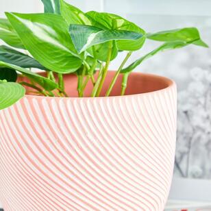 Twirl Planter Pot Pink 14 x 12 cm