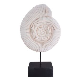 Ombre Home Evie Shell Décor White 15.5 x 6.5 x 25 cm