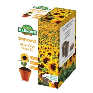 DT Brown Sunflowers Grow Kit Multicoloured