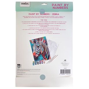 Make Zebra Paint By Numbers Multicoloured