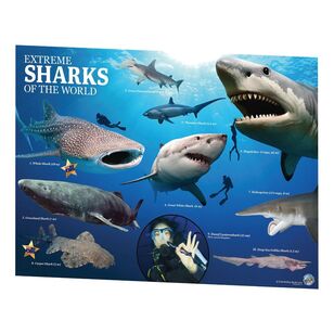 Australian Geographic Extreme Sharks Of The World Multicoloured