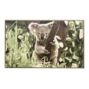 Ombre Home Ainsley Koala Canvas Multicoloured 30 x 50 cm