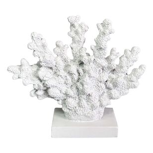 KOO Coral Natural 18 x 15 cm