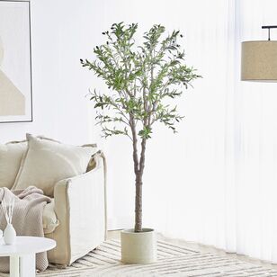 Cooper & Co 170 cm Olive Artificial Tree Green 170 cm