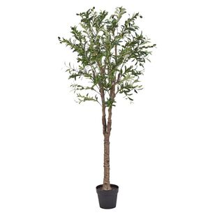 Cooper & Co 170 cm Olive Artificial Tree Green 170 cm