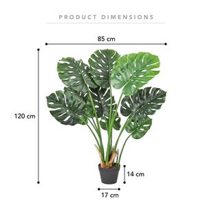 Cooper & Co 120 cm Monstera Plant Green 120 cm