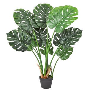Cooper & Co 120 cm Monstera Plant Green 120 cm