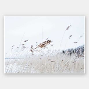 Arbour Studio Breezy Print Unframed Spotlight Australia