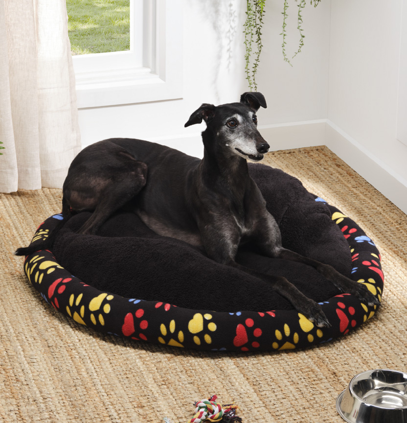 Exquisite Fleece Dog Beds Scene in HD Exquisite Fleece Dog Beds Scene in HD