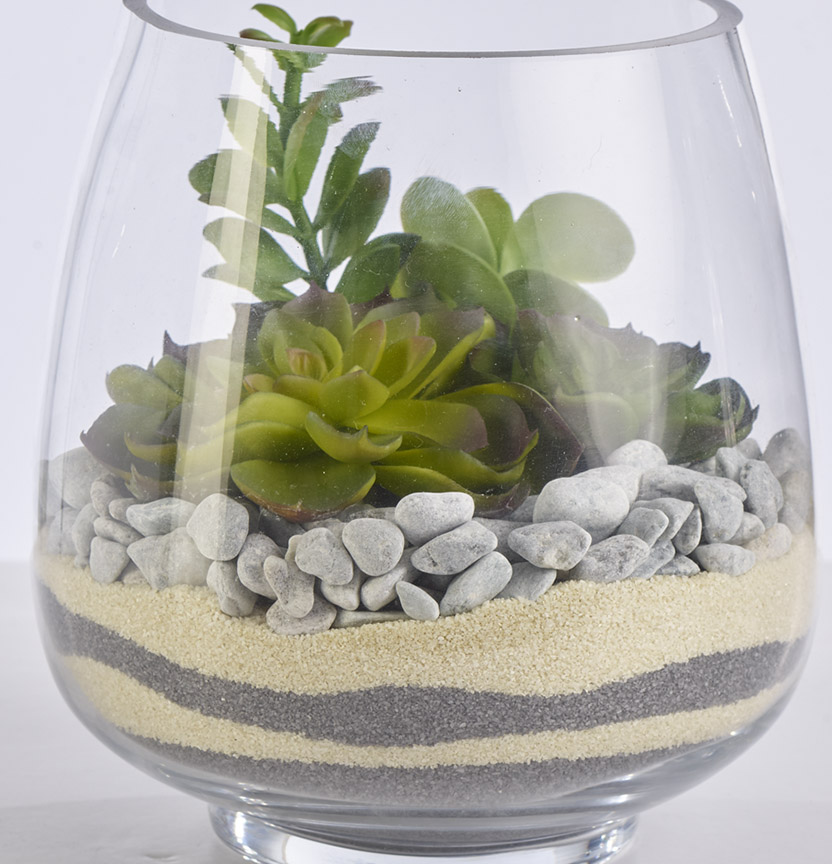 Sand And Stone Terrarium Project