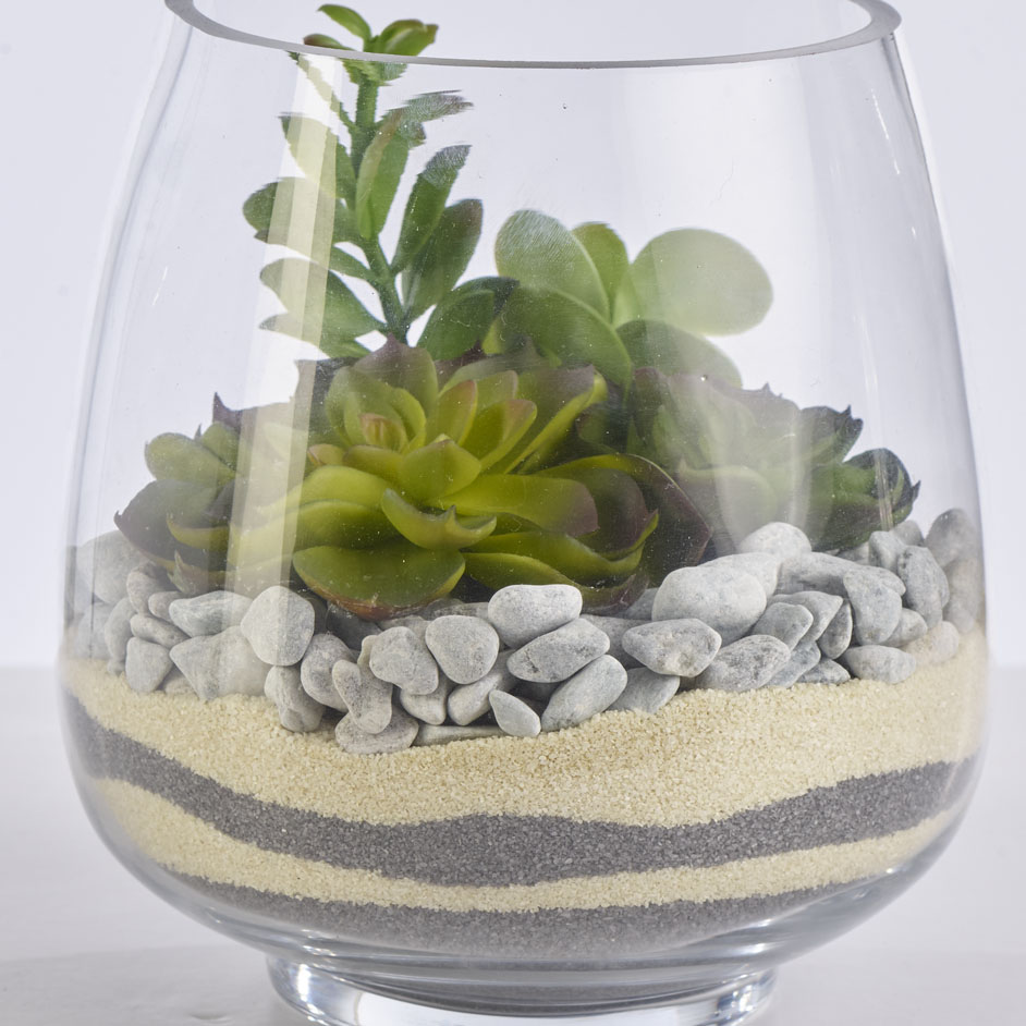 Sand And Stone Terrarium Project