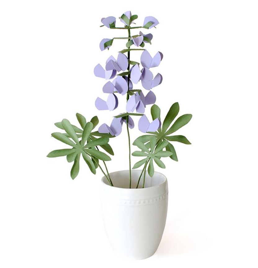 Silhouette Lupine Flowers Project