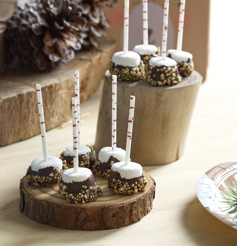 Smore Pops Project