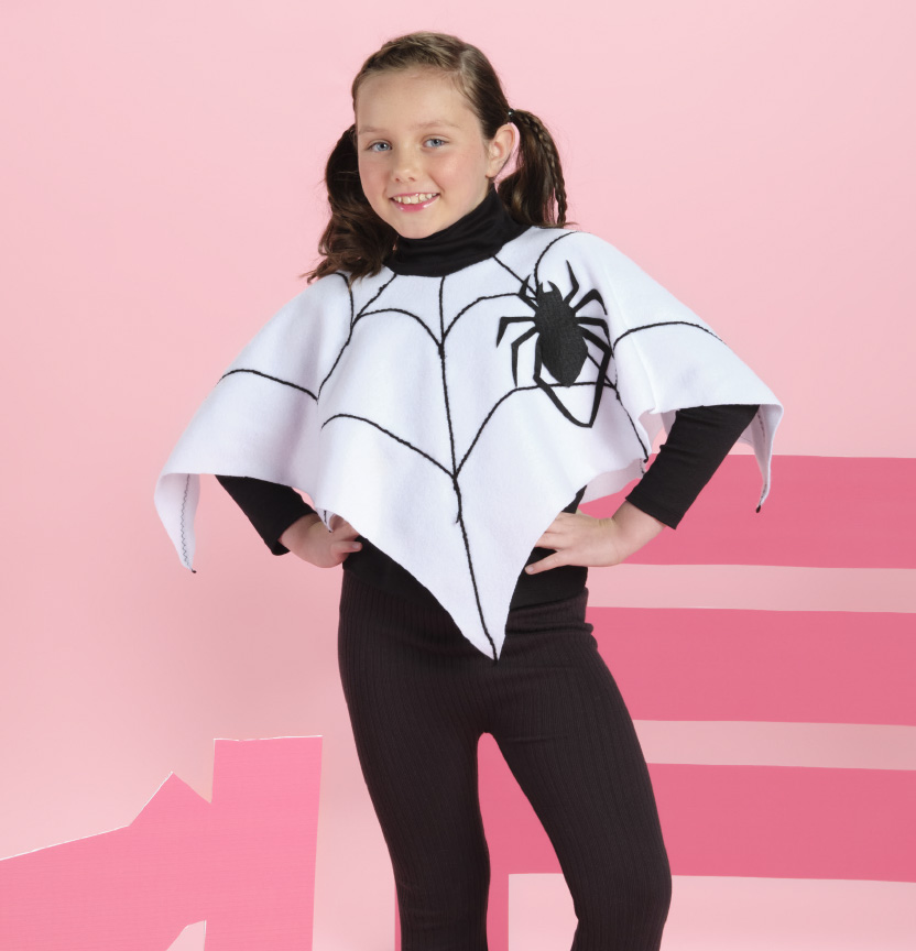 Spiders Web Cape Project