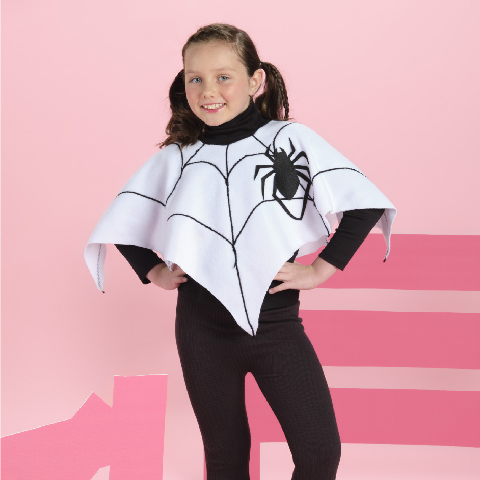 Spiders Web Cape Project