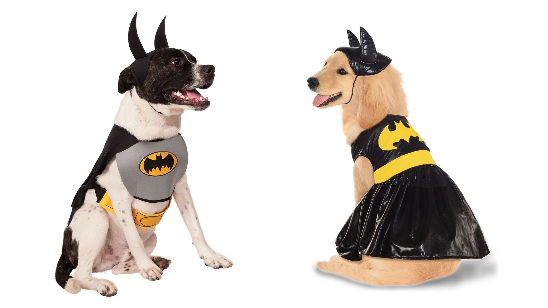 Coordinated Batman Costumes For Your Pets