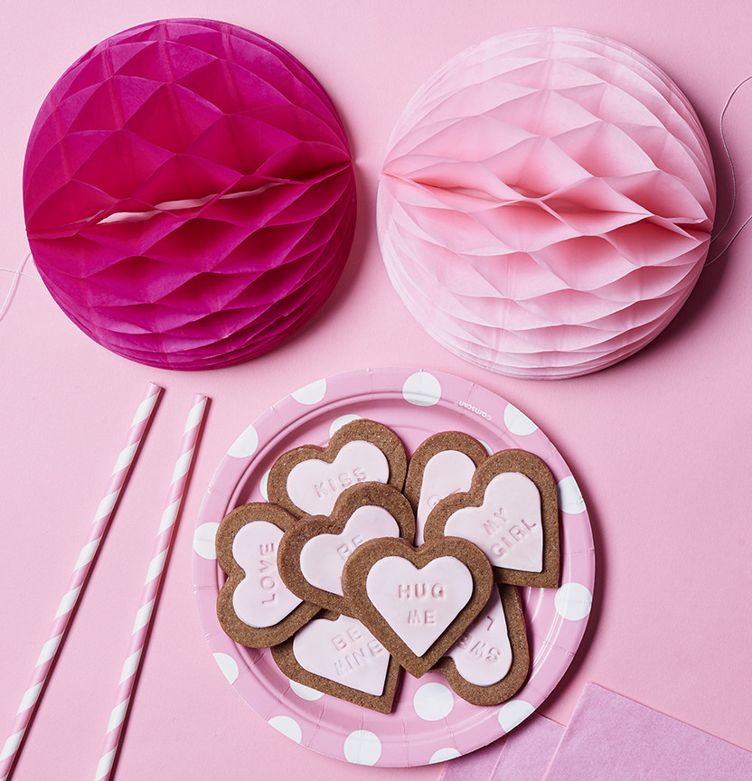 Valentines Day Gingerbread Cookies Project