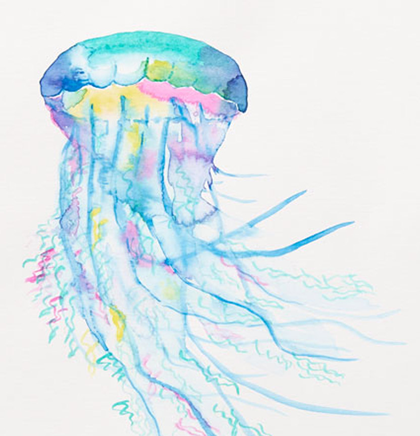 Watercolour Jellyfish Project