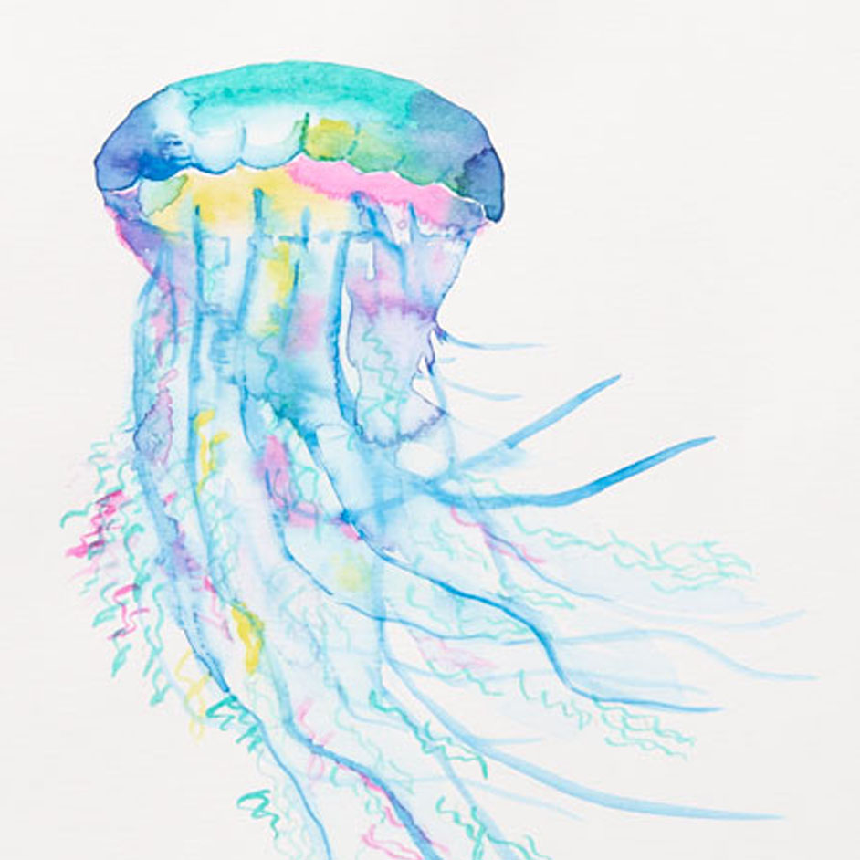 Watercolour Jellyfish Project
